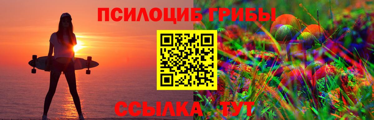 Псилоцибиновые грибы мухоморы Грозный